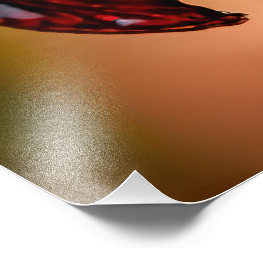 Impression Photo Daylily Black Plush (Coin)