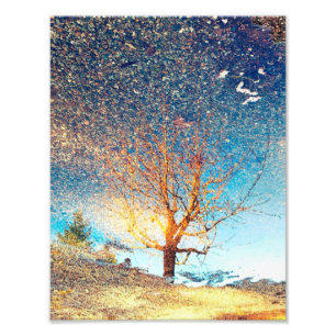 Impression photo de 8,5 po x 11 po Cerisier