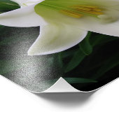 Impression photo de belles fleurs (Coin)