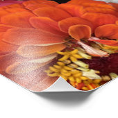 Impression Photo De belles mamans (Coin)