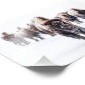 Impression photo de buffles de Yellowstone (Coin)