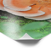 Impression photo de champignon Poulet des Bois (Coin)