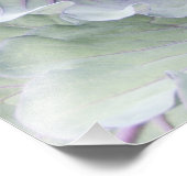 Impression photo de chou (Coin)