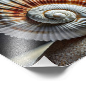 Impression photo de coquillage (Coin)