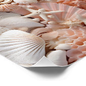 Impression photo de coquillages (Coin)