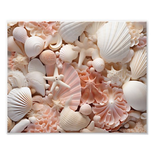 Impression photo de coquillages (Devant)