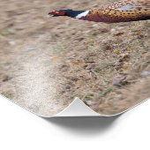 Impression photo de faisan (Coin)