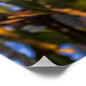 Impression photo de faucon perché | Art de rapace (Coin)