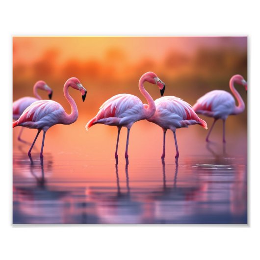 Impression photo de flamants roses (Devant)