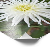 Impression photo de fleur botanique de dahlia cact (Coin)