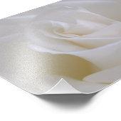 Impression photo de fleur de rose blanche (Coin)