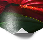 Impression photo de fleurs tropicales (Coin)