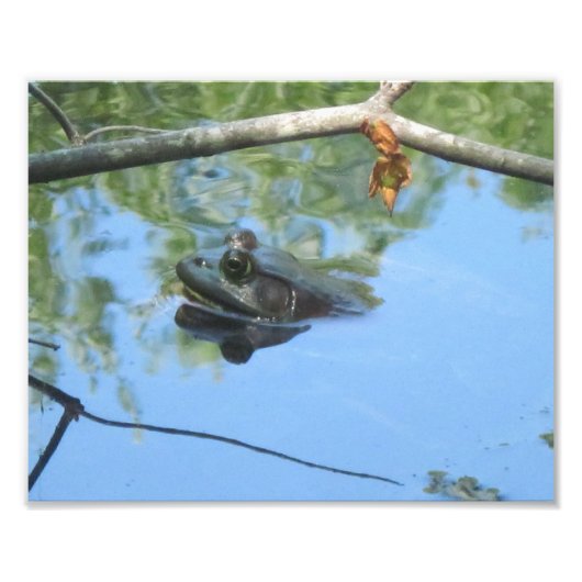 Impression photo de grenouille (Devant)
