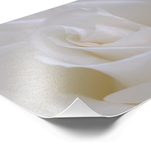 Impression photo de la couleur blanche (Coin)