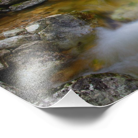 Impression photo de la crique de la forêt rocheuse (Coin)