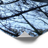 Impression photo de la silhouette d'arbre (Coin)