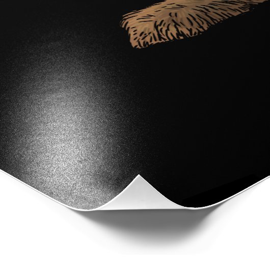 Impression photo de lapin (Coin)