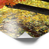 Impression photo de l'arbre (Coin)