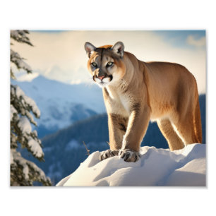 Impression photo de lion de montagne