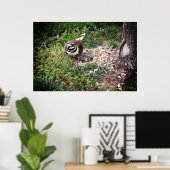 Impression photo de Maman Oiseau protégeant ses œu (Bureau à domicile)