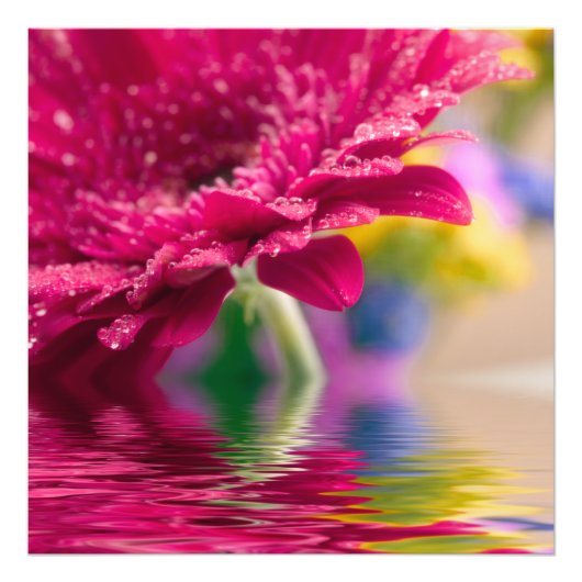 Impression photo de Marguerite (Devant)