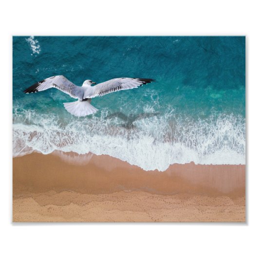 Impression photo de mouette de plage (Devant)