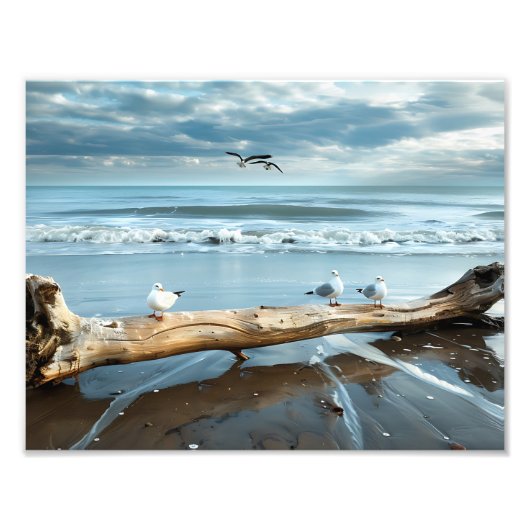 Impression photo de mouettes de plage (Devant)