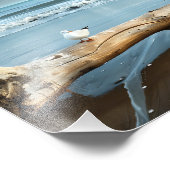 Impression photo de mouettes de plage (Coin)