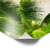 Impression photo de plage tropicale (Coin)
