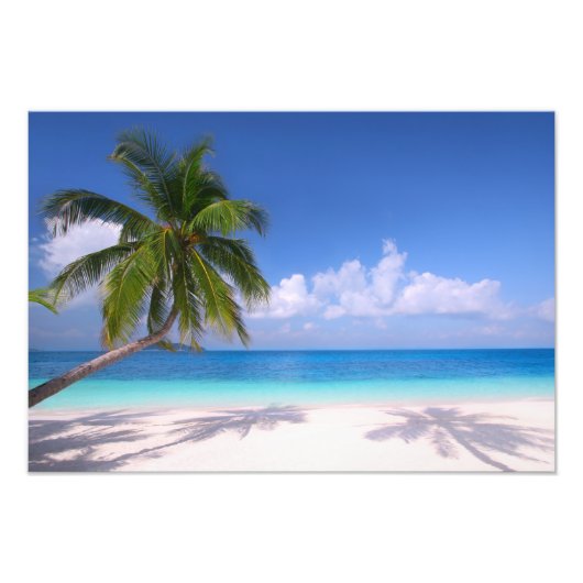 Impression photo de plage tropicale (Devant)