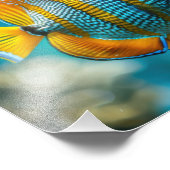 Impression photo de poisson tropical (Coin)