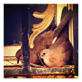 Impression photo de préparation (Devant)