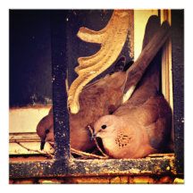 Impression photo de préparation