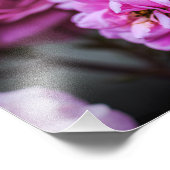 Impression photo de roses roses douces (Coin)