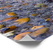 Impression photo de rouge-gorge (Coin)