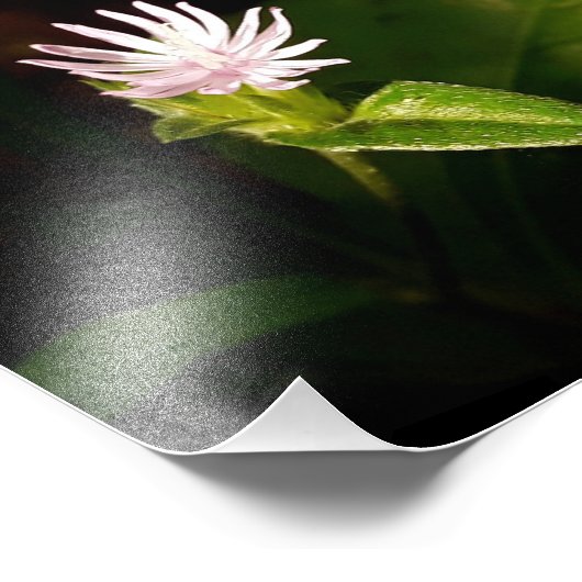 Impression Photo Début (Coin)