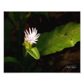 Impression Photo Début (Devant)