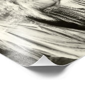 Impression Photo Début des années 1900 La beauté française (Coin)