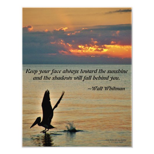 Impression Photo décollage pélican au coucher du soleil Côte du Gol (Devant)