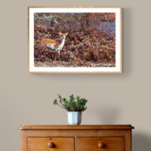 Deer en jachère à Bradgate Park