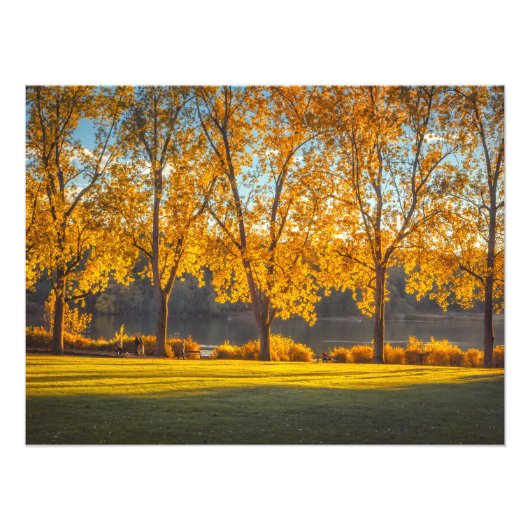 Impression Photo DeerLake à l'automne (Devant)