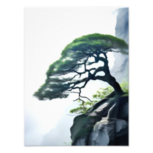 Impression Photo Défier les probabilités : Bonsai Tree sur la falai
