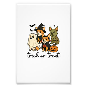 Impression Photo déguisement d'Halloween corgi 