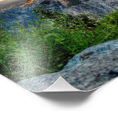 Impression Photo Demi-dôme 2 (Coin)