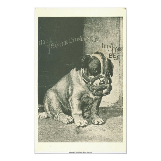 Impression photo d'éphémère de chiot avec muselièr (Devant)