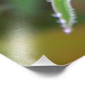 Impression Photo Déposer (Coin)