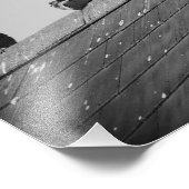 Impression Photo Des pigeons sur le toit (Coin)