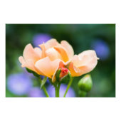 Impression Photo désir (Devant)