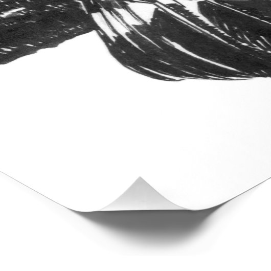 Impression Photo Dessin à capot (Coin)