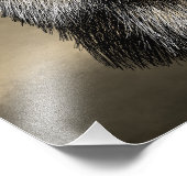 Impression Photo Dessin de la face Fox (Coin)